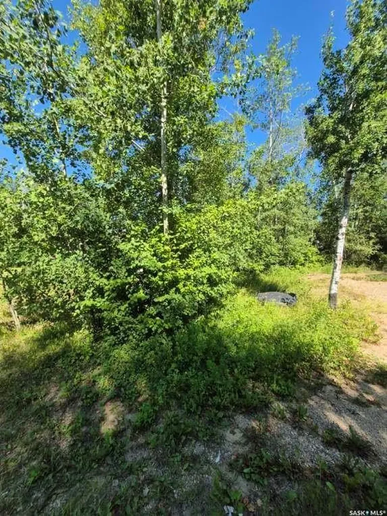 Lot 133 Birchwood Avenue Canwood Rm No. 494 SK S0J 0Y0