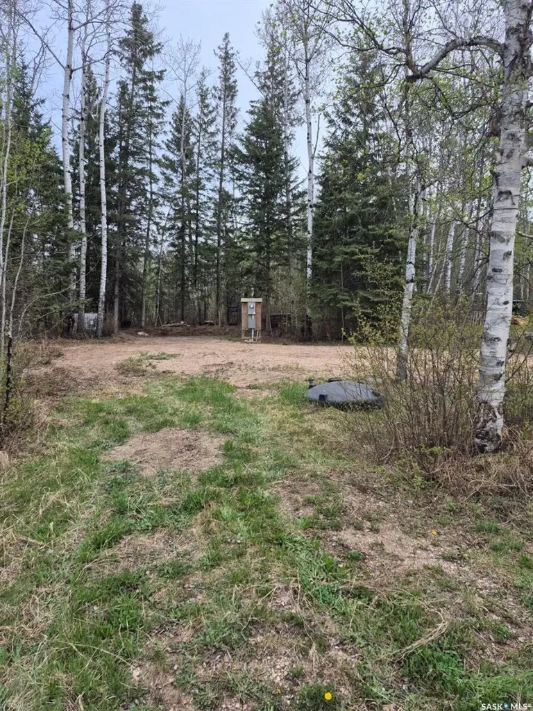 Lot 133 Birchwood Avenue Canwood Rm No. 494 SK S0J 0Y0