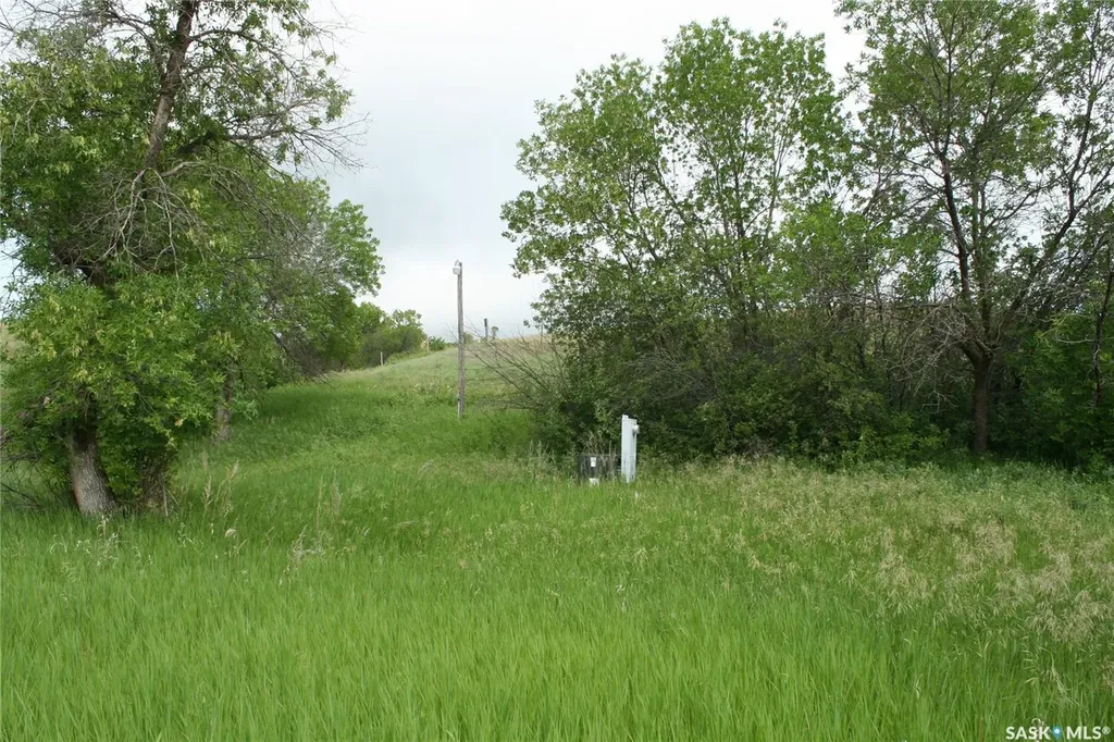 Rural Address Longlaketon Rm No. 219 SK S0G 0W0