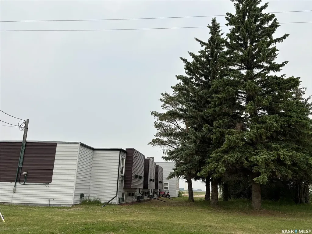 304 King Edward Street Davidson SK S7K 2Y7