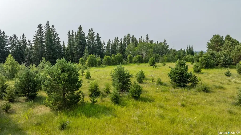 Rural Address Buckland Rm No. 491 SK S6V 5R3