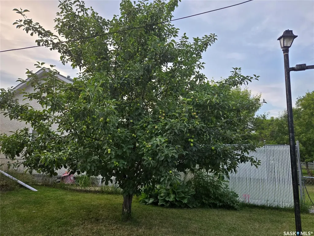 215 Heward Street Stoughton SK S0G 4T0