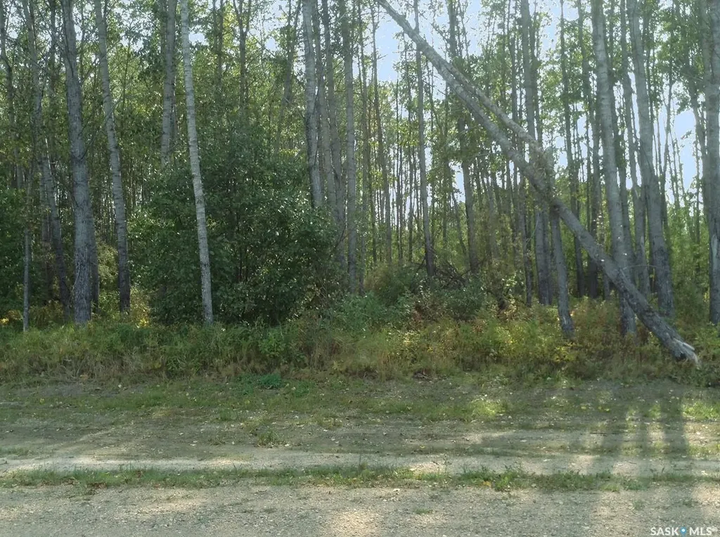 6 Pelly Street Big River Rm No. 555 SK S0J 0E0