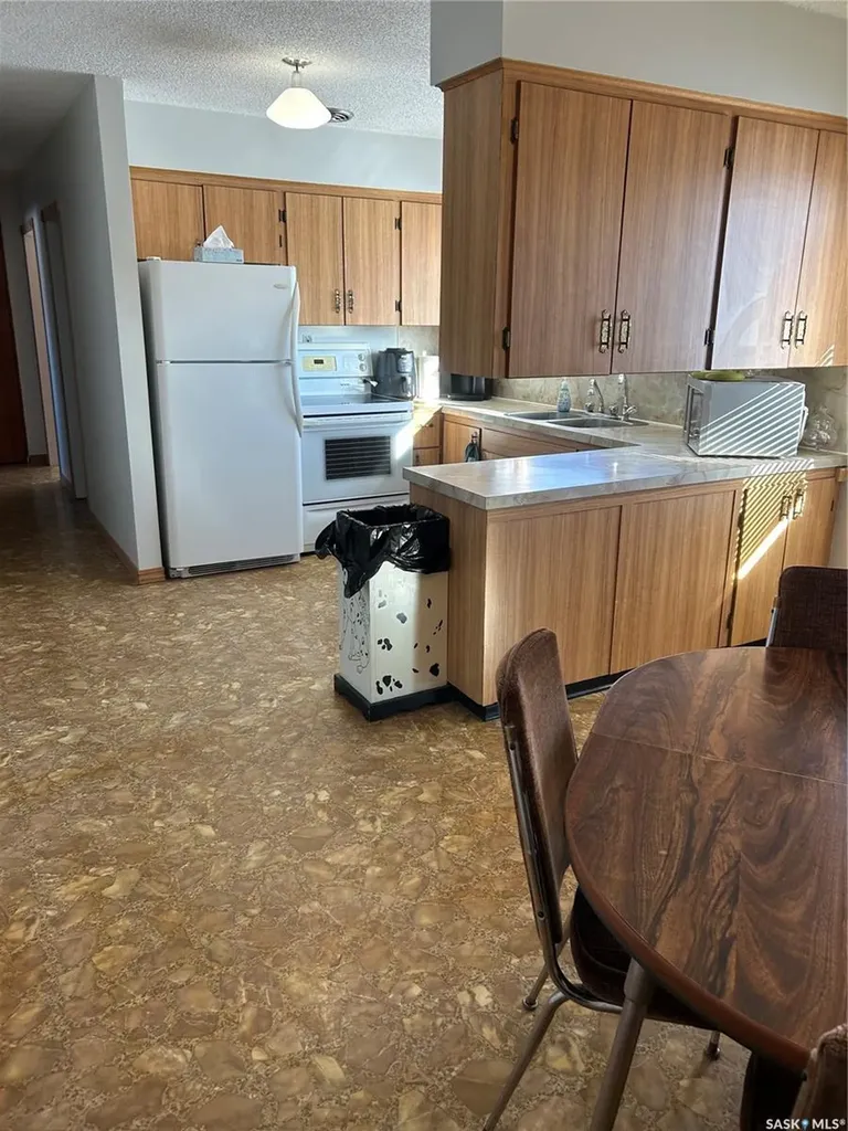 231 Broadway Street Carievale SK S0C 0P0