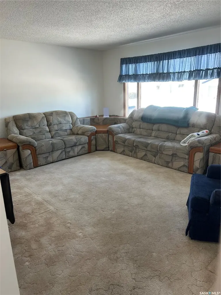 231 Broadway Street Carievale SK S0C 0P0