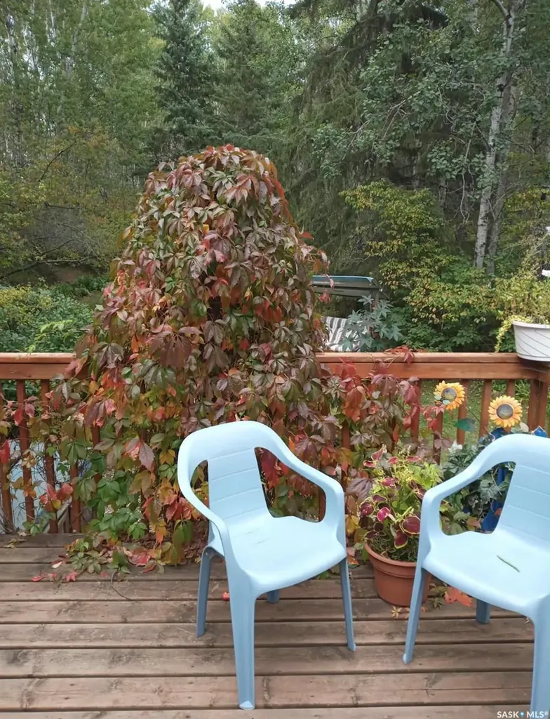 Rural Address Canwood Rm No. 494 SK S0J 0B4