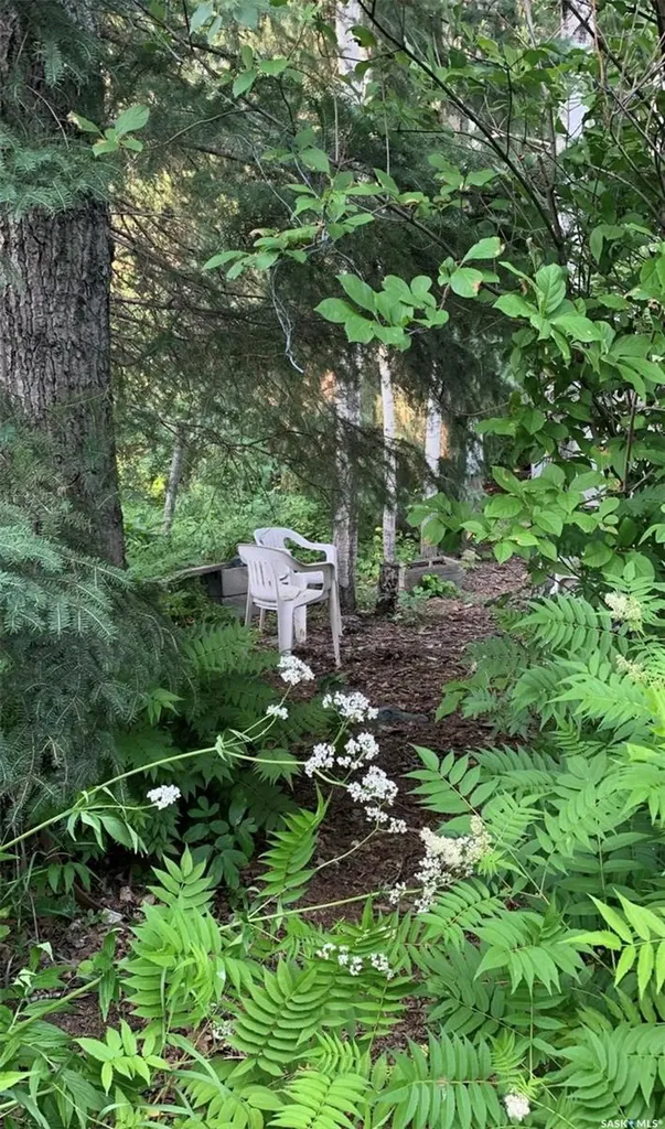 Rural Address Canwood Rm No. 494 SK S0J 0B4