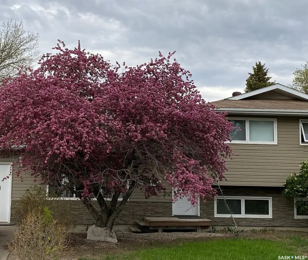 1012 6th Street E Rosetown SK S0L 2V0