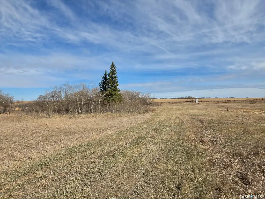 0 Rural Address Biggar Rm No. 347 SK S0K 0M0