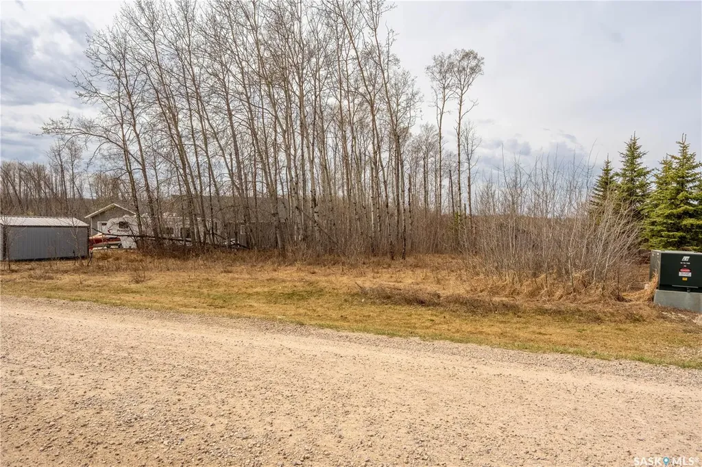 520 Diamond Willow Drive Goodsoil SK S0M 1A0