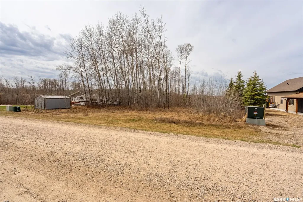 520 Diamond Willow Drive Goodsoil SK S0M 1A0