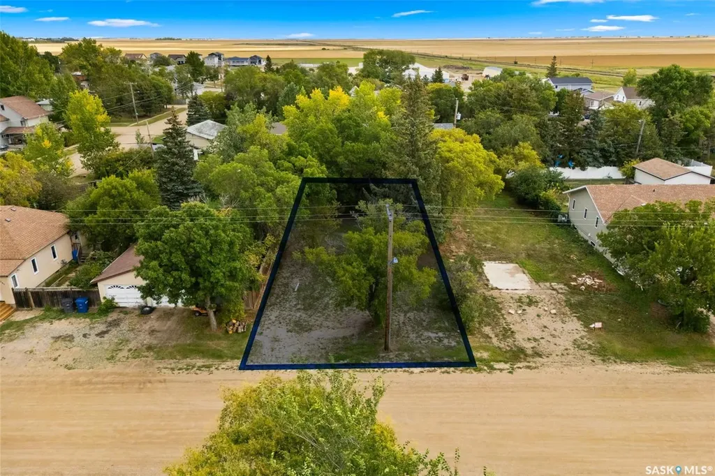 307 Elder Street Pense SK S0G 3W0