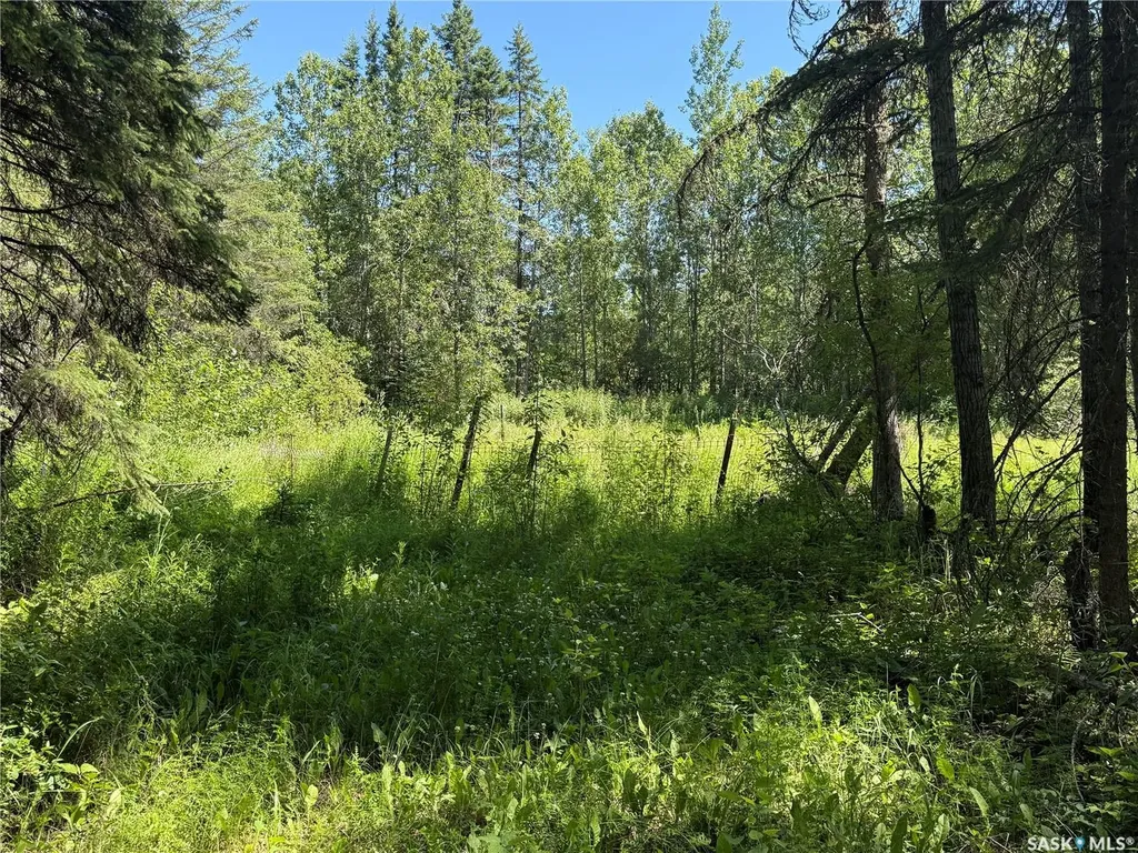 Rural Address Paddockwood Rm No. 520 SK S0J 3E0