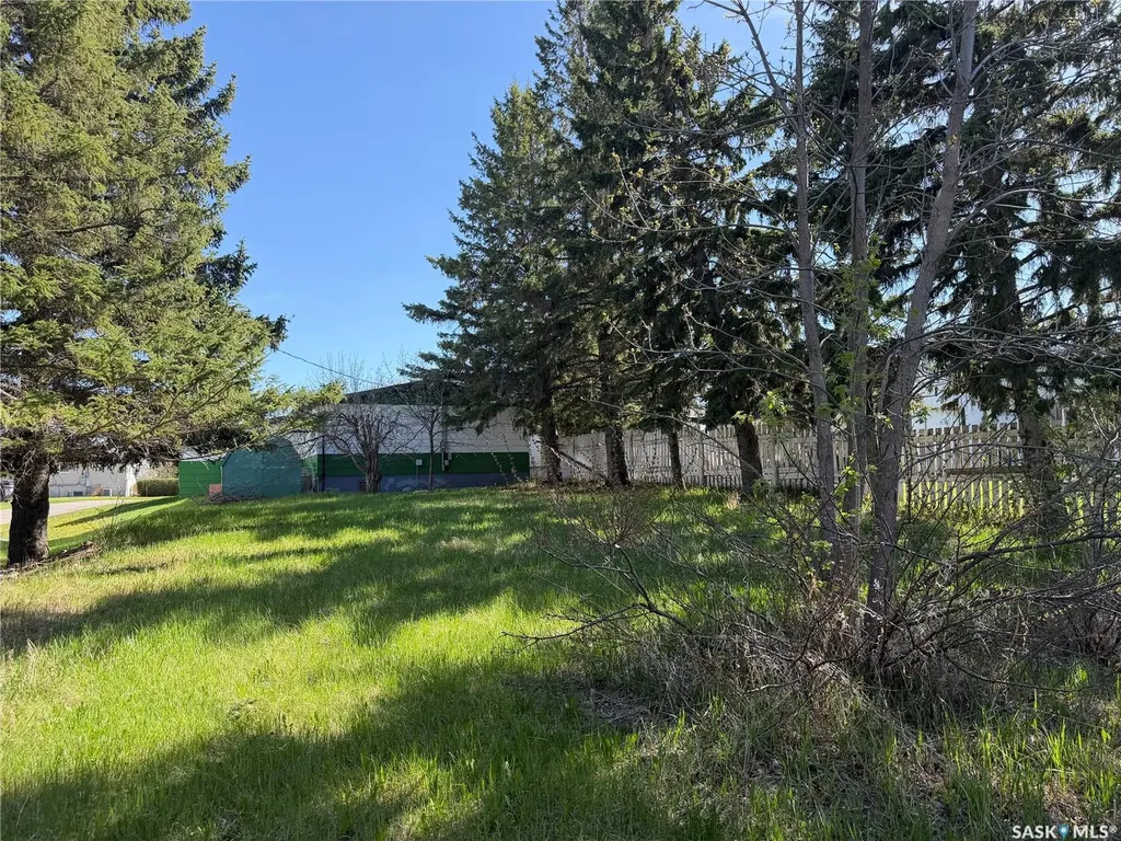 205 Pipestone Avenue Wawota SK S0G 5A0
