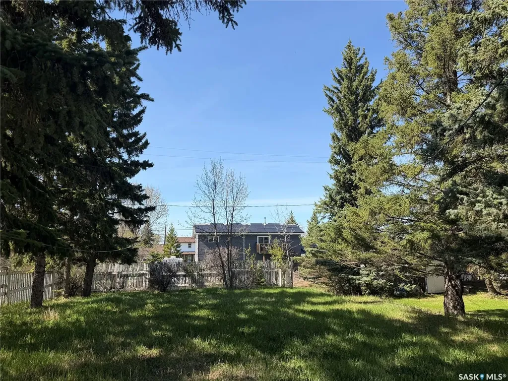 205 Pipestone Avenue Wawota SK S0G 5A0