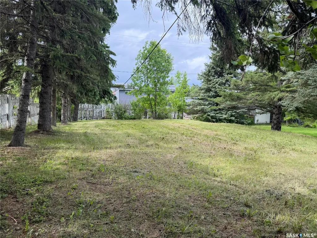 205 Pipestone Avenue Wawota SK S0G 5A0