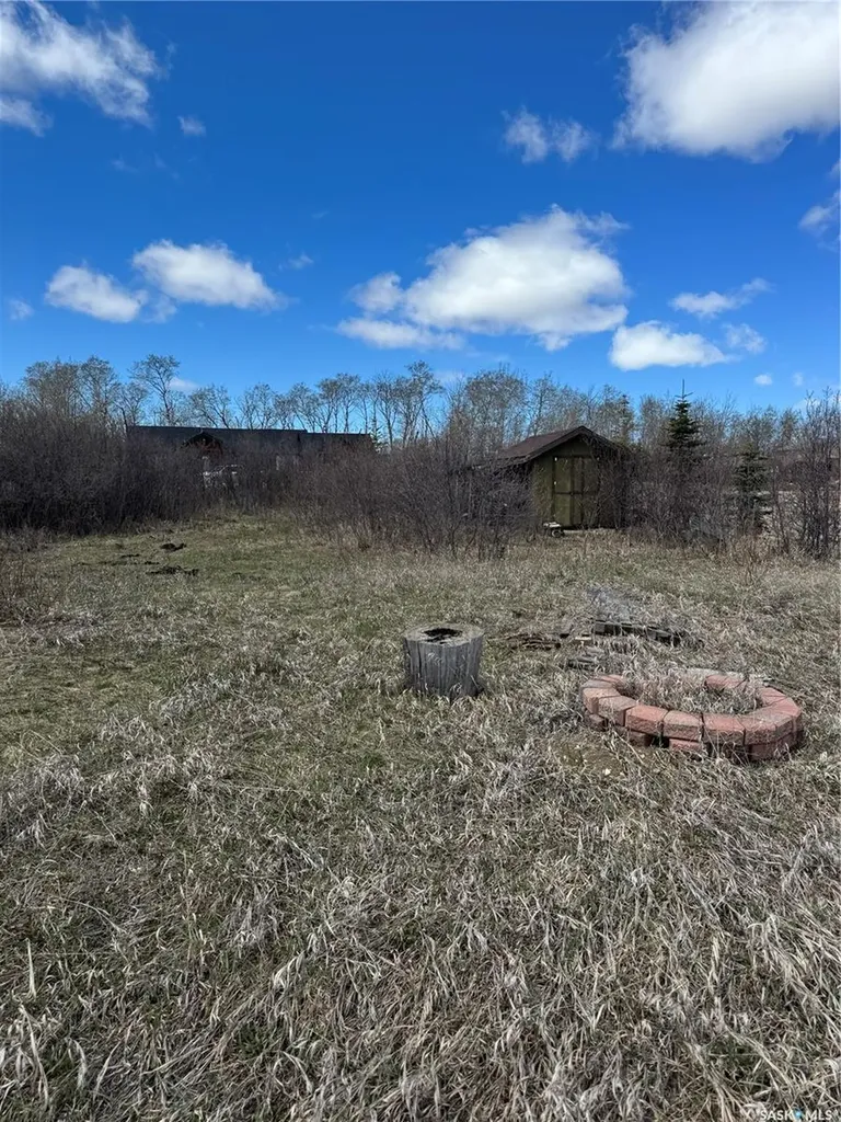 644 Willow Point Way St. Brieux SK S0K 3V0