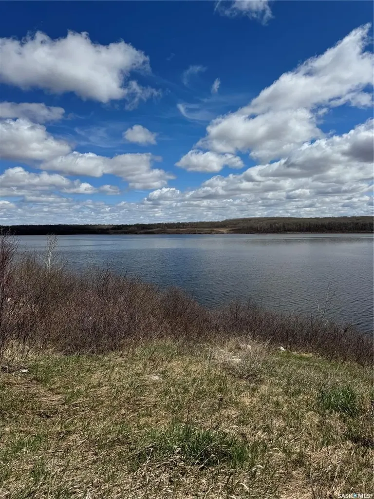 644 Willow Point Way St. Brieux SK S0K 3V0