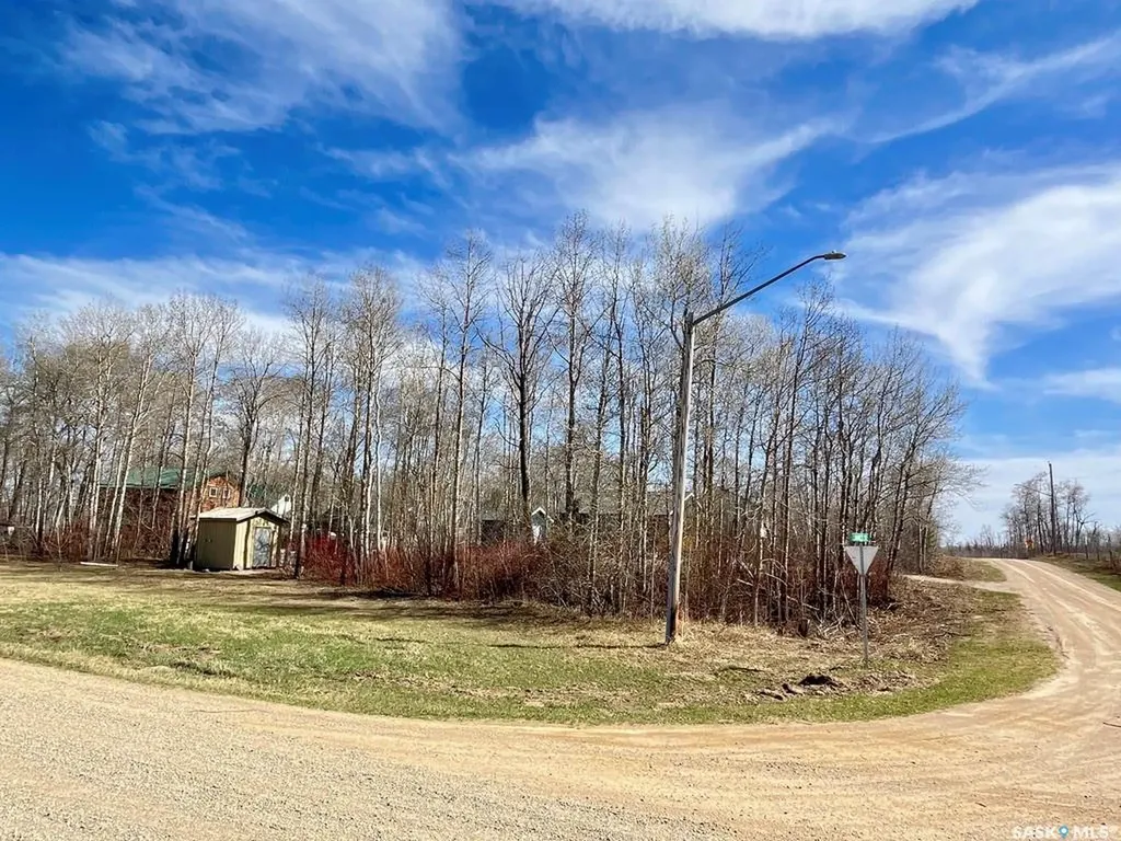 114 James Street Good Spirit Lake SK S0A 0L1