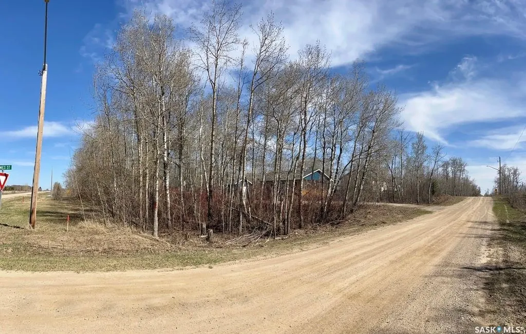 114 James Street Good Spirit Lake SK S0A 0L1