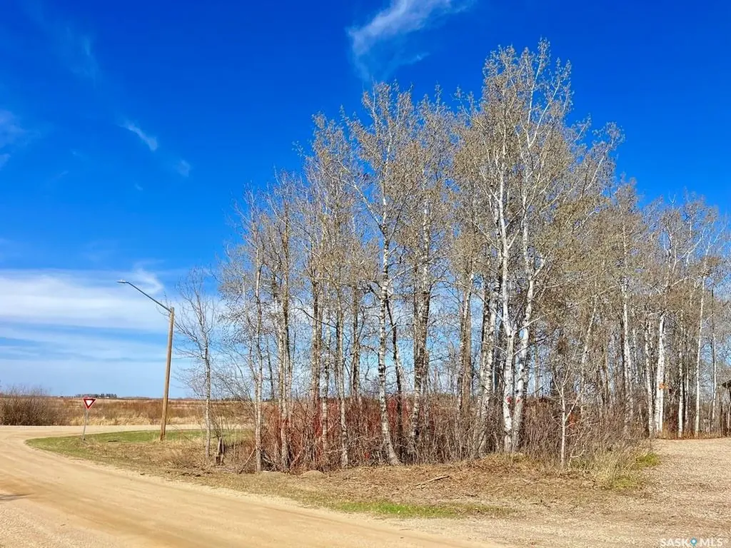114 James Street Good Spirit Lake SK S0A 0L1