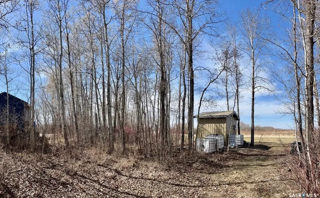 114 James Street Good Spirit Lake SK S0A 0L1