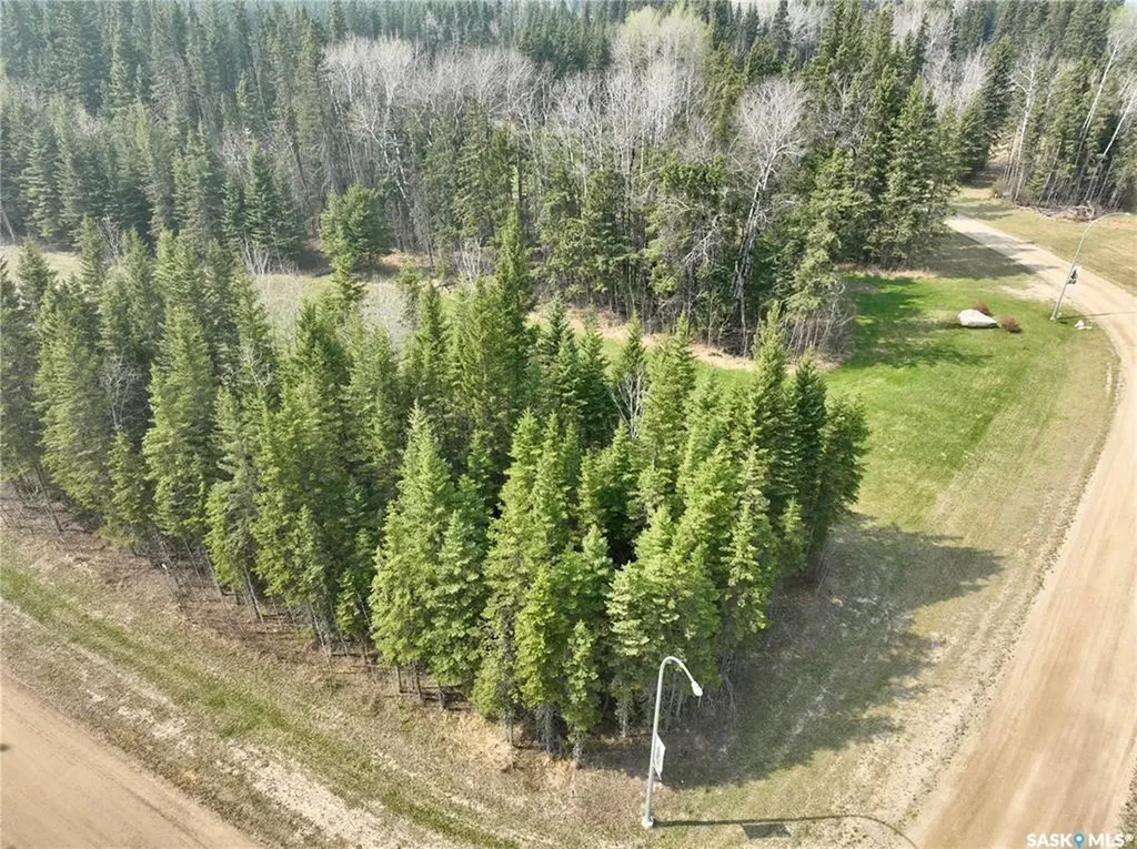 49 Cranberry Court Candle Lake SK S0J 3E0