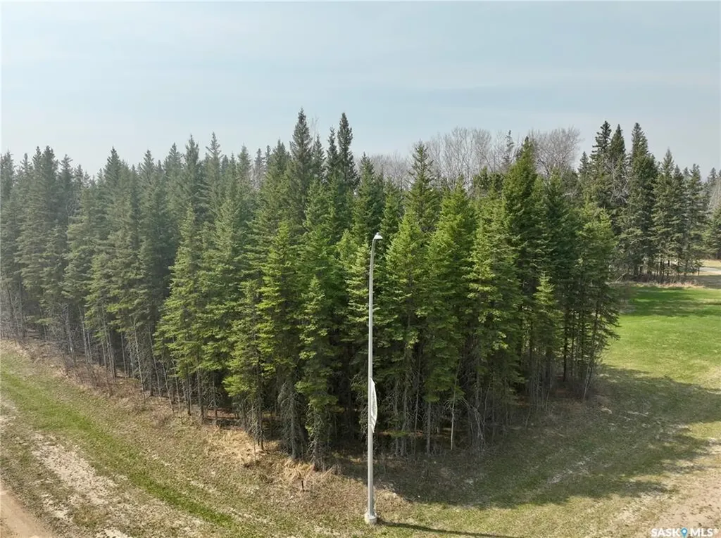 49 Cranberry Court Candle Lake SK S0J 3E0