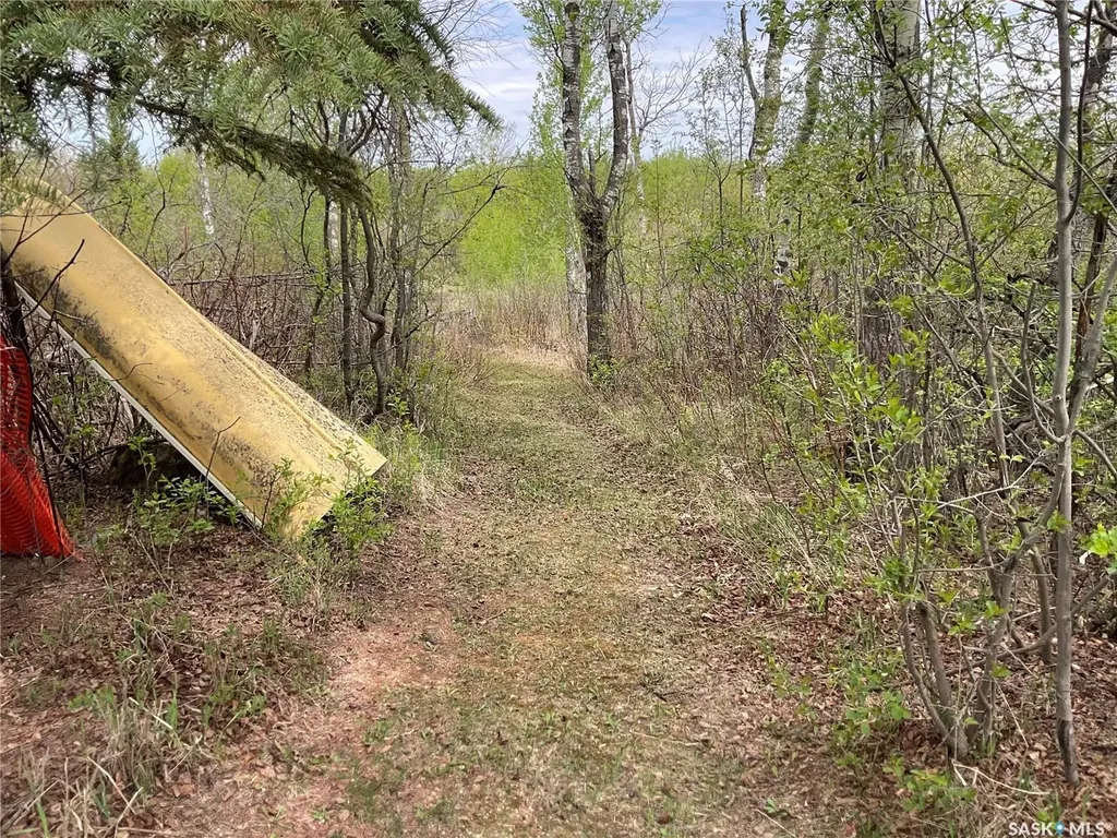 5609 Scott's Point Road Wakaw SK S0K 4P0