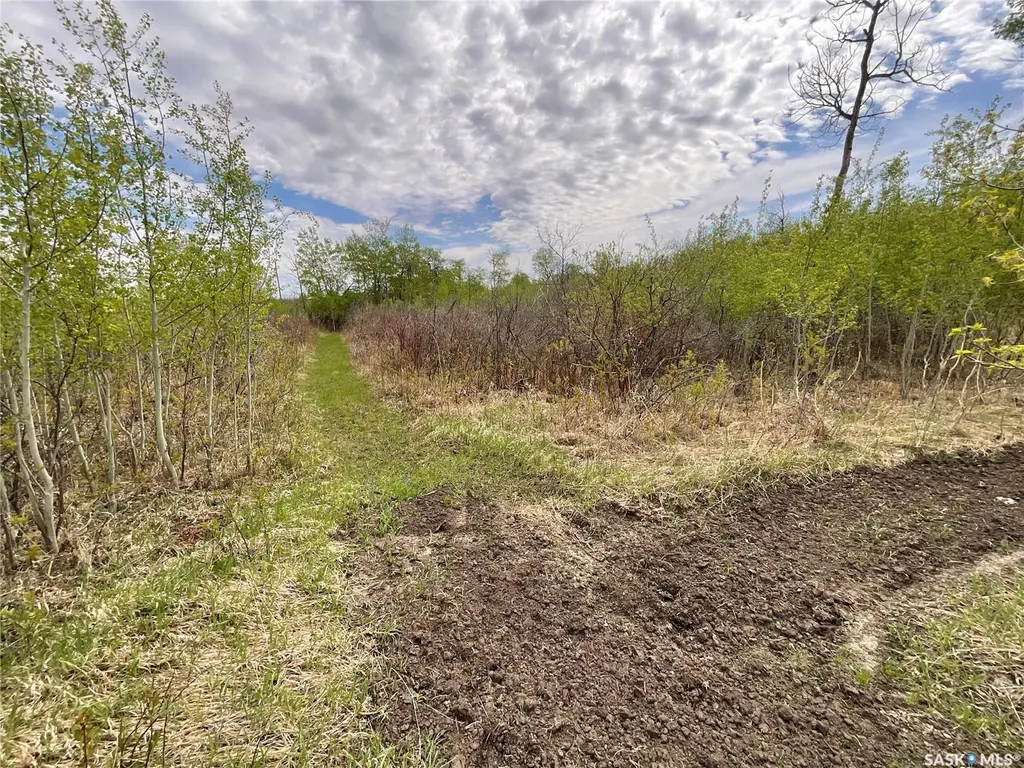 5609 Scott's Point Road Wakaw SK S0K 4P0