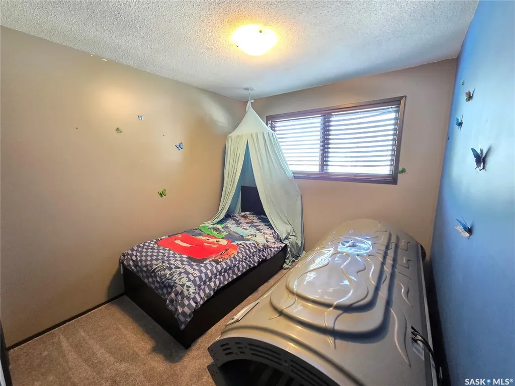 204 1st Street E Carlyle SK S0C 0R0
