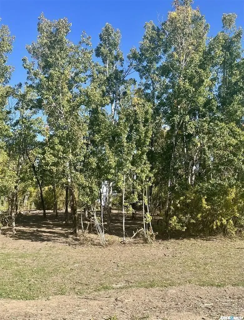 Lot 3 Shady Bay Drive Meeting Lake SK S0M 2L0