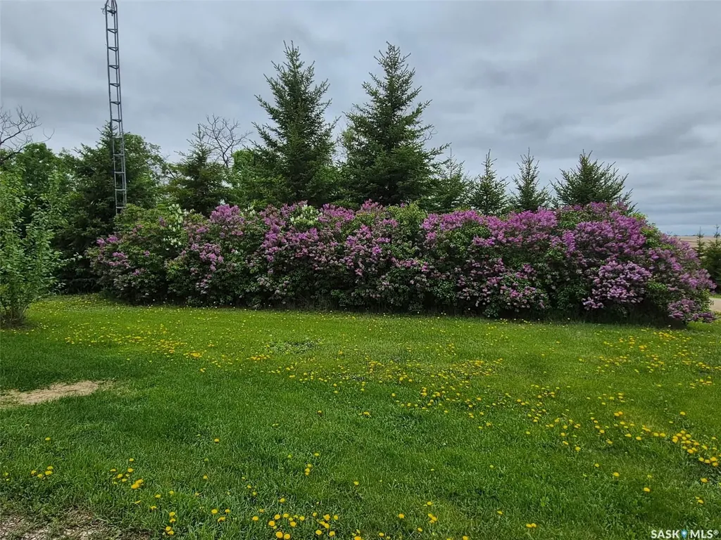 Rural Address Leroy Rm No. 339 SK S0K 2P0