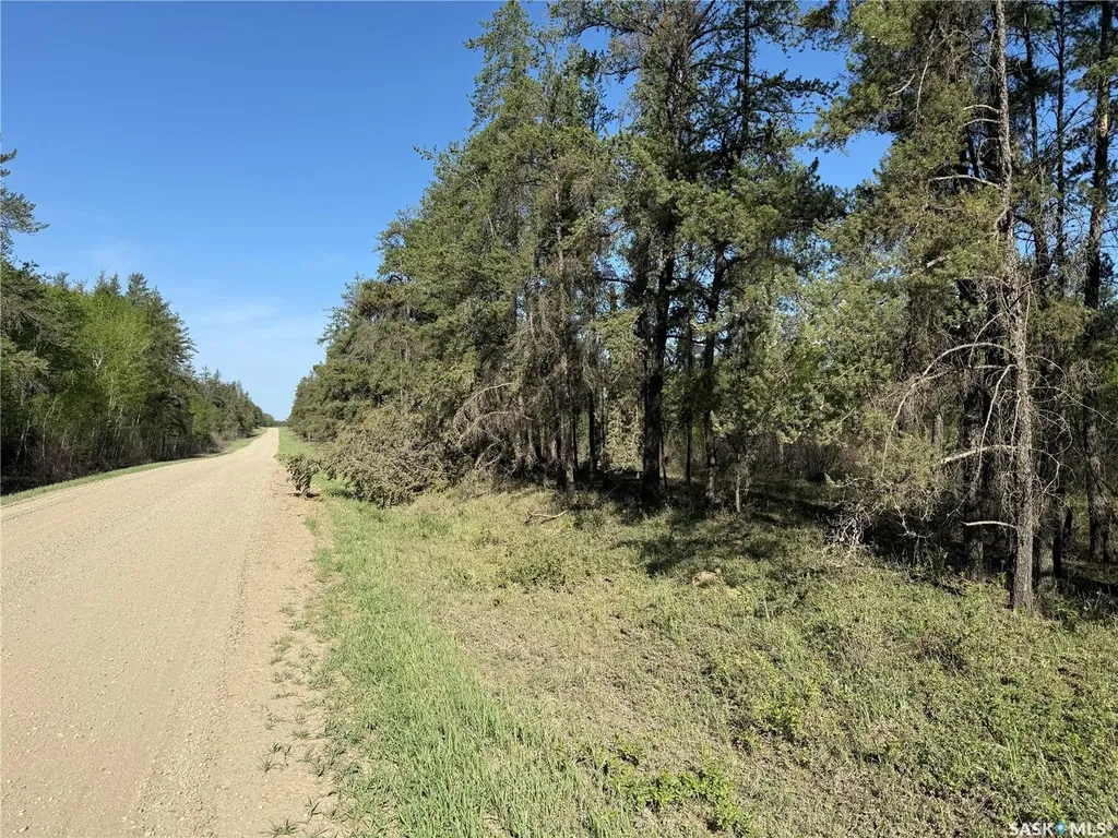 Rural Address Kinistino Rm No. 459 SK S0E 0W0