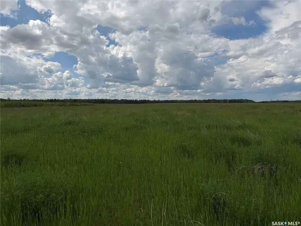 Rural Address Torch River Rm No. 488 SK S0J 2J0