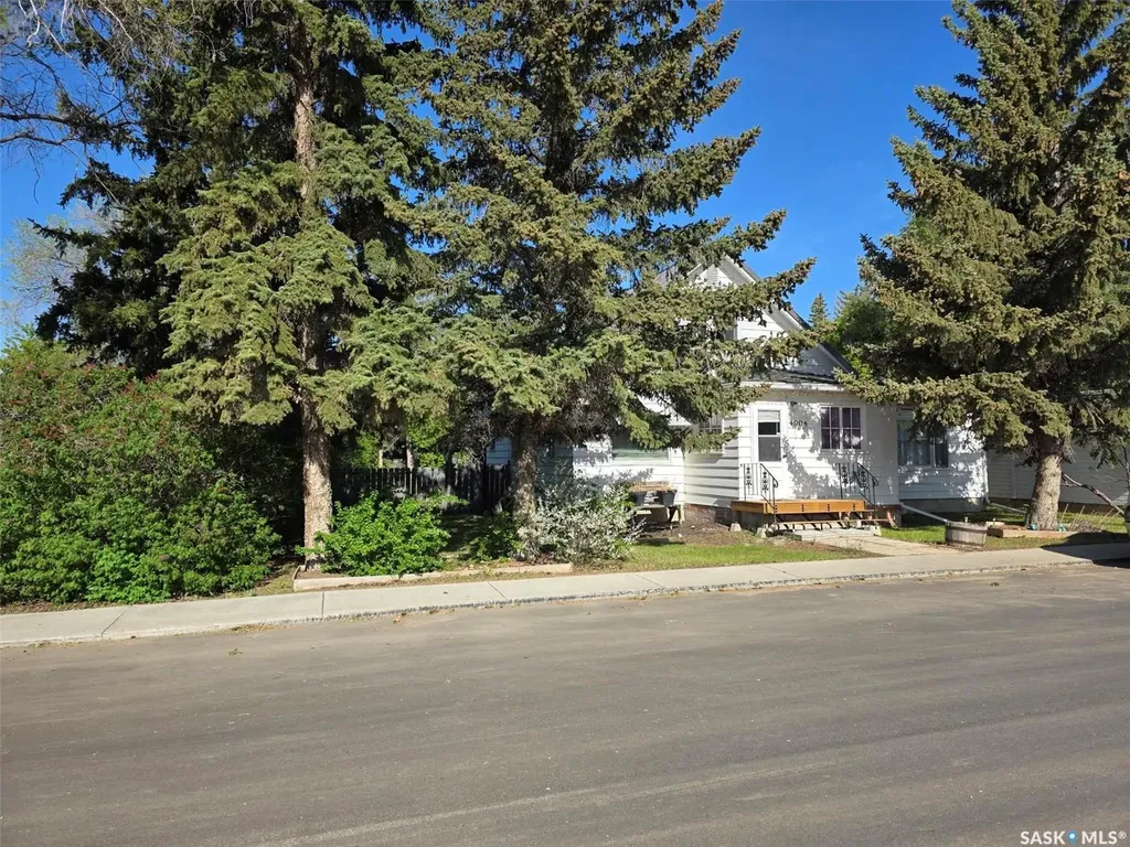 4904 Tribune Street Macklin SK S0L 2C0