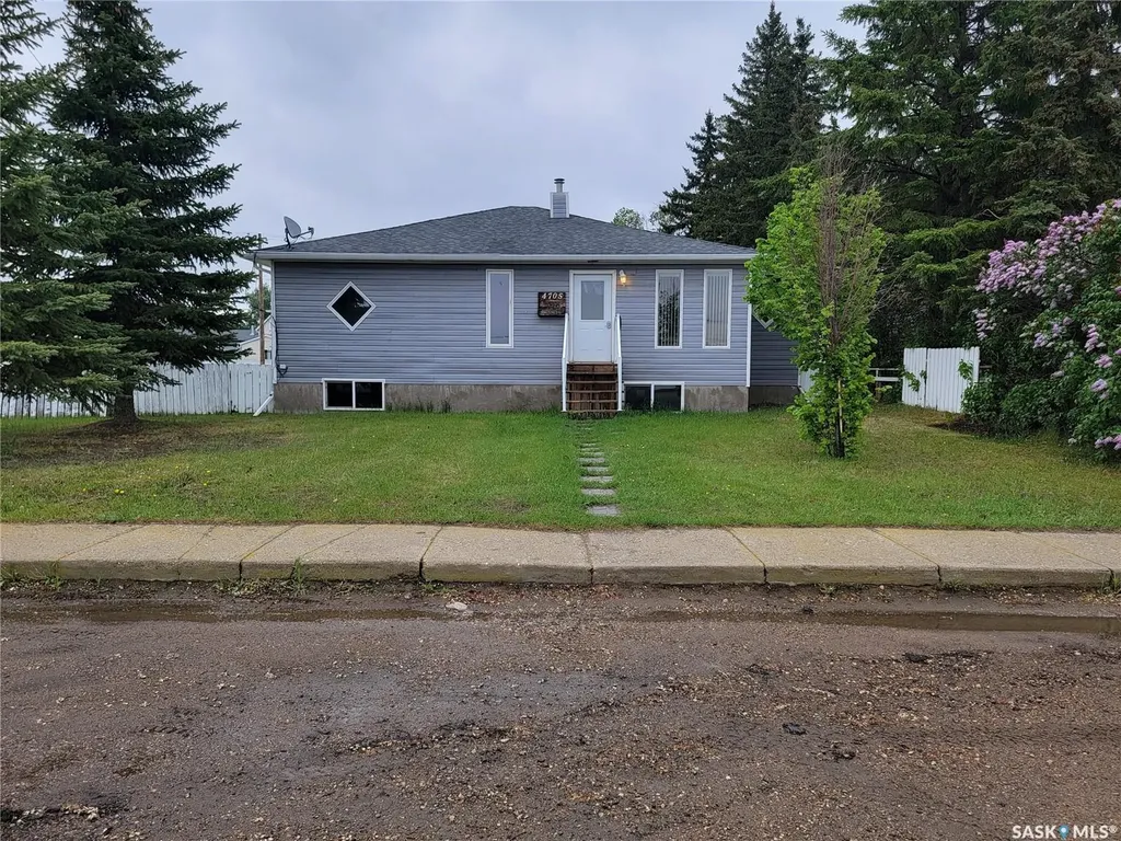 4705 Tribune Street Macklin SK S0L 2C0