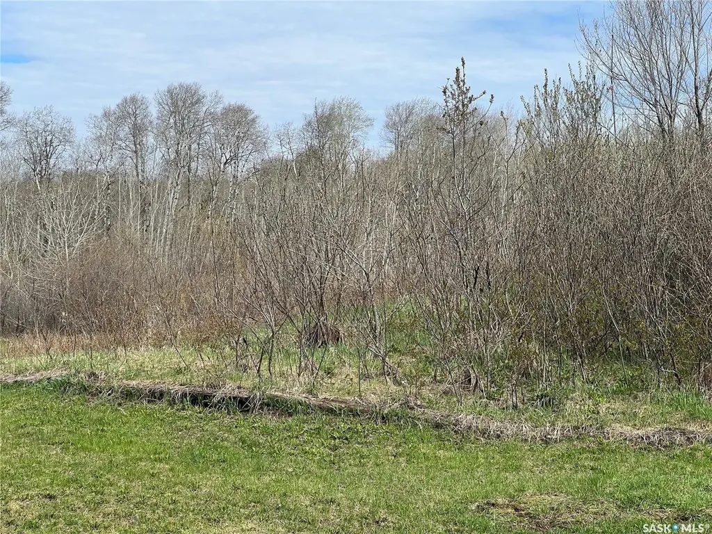 Rural Address Porcupine Rm No. 395 SK S0E 1H0
