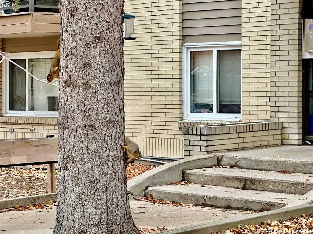 2358 Rae Street Regina SK S4T 2G2