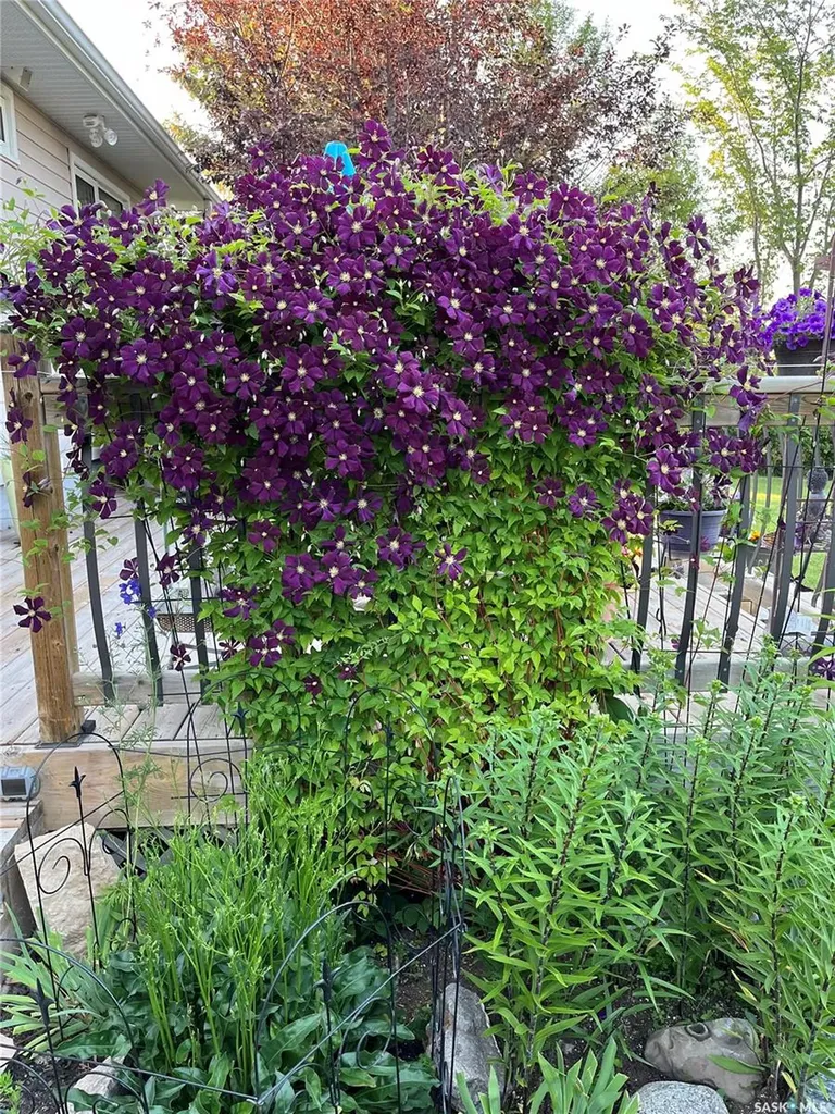 309 Russell Street Stoughton SK S0G 4T0