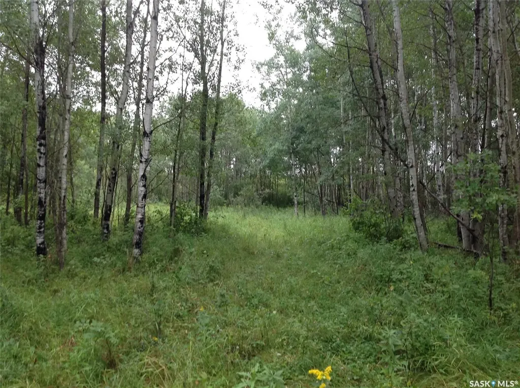 Rural Address Hudson Bay SK S0E 0Y0