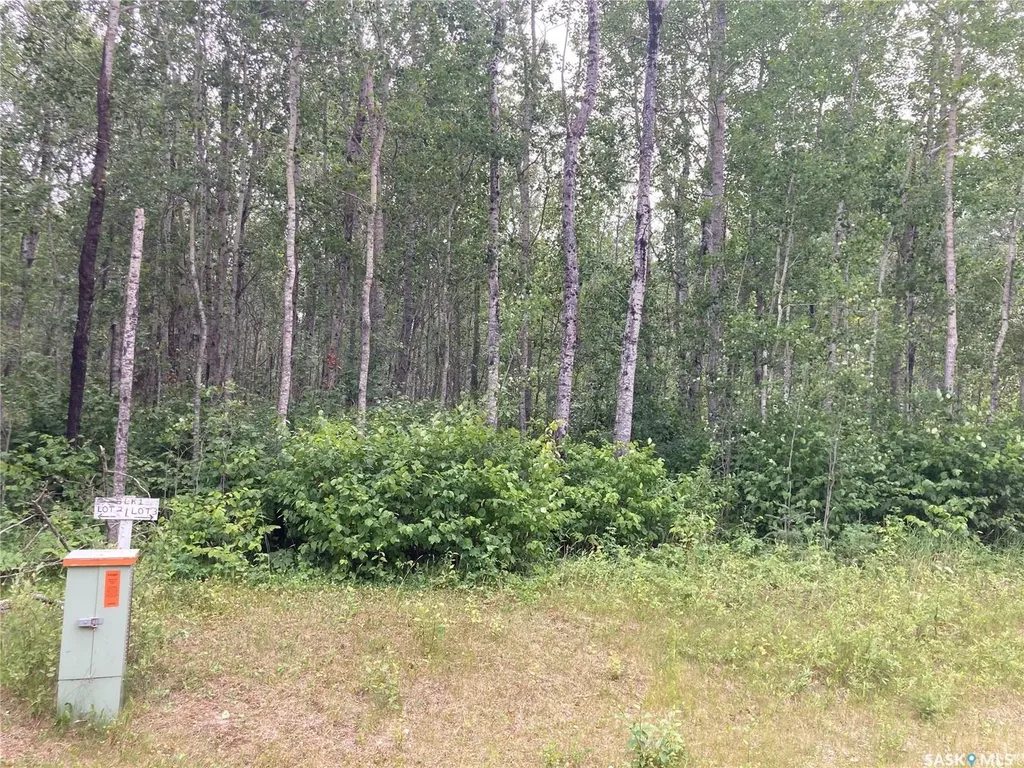 Rural Address Big River Rm No. 555 SK S0J 0E0