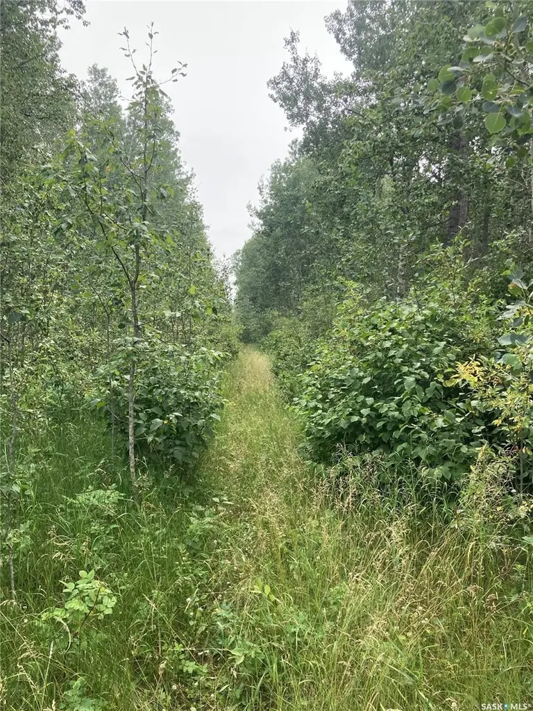 Rural Address Big River Rm No. 555 SK S0J 0E0