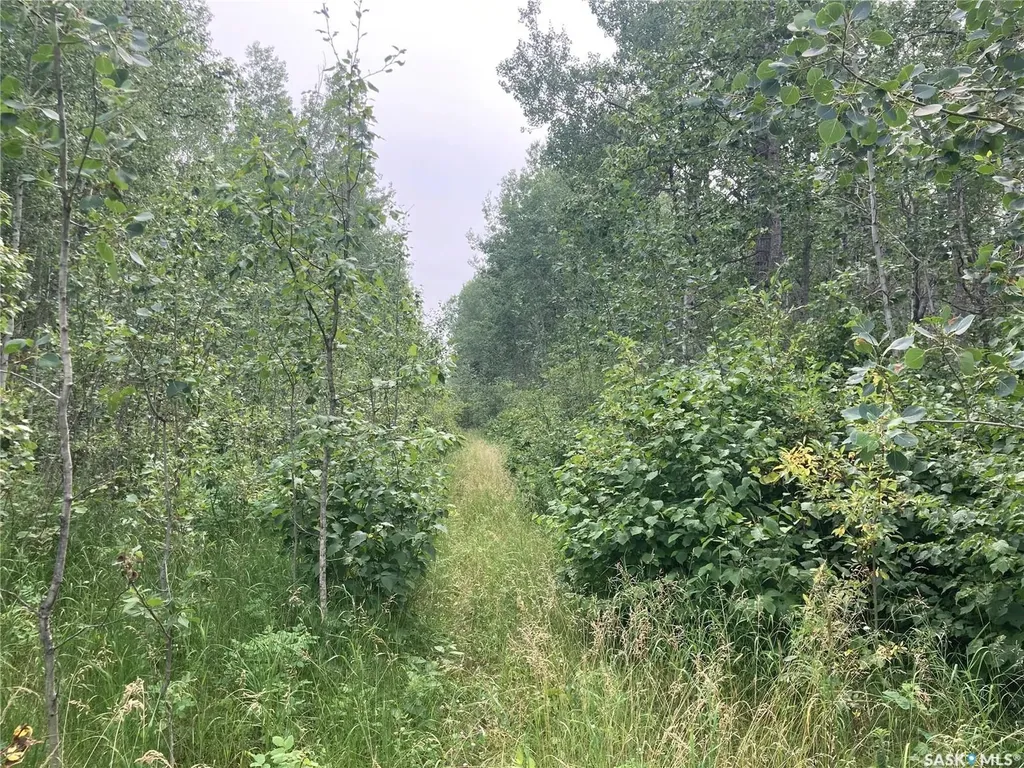 Rural Address Big River Rm No. 555 SK S0J 0E0