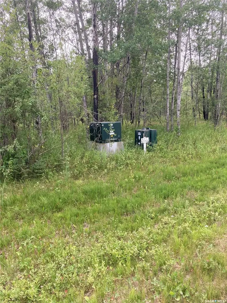 Rural Address Big River Rm No. 555 SK S0J 0E0