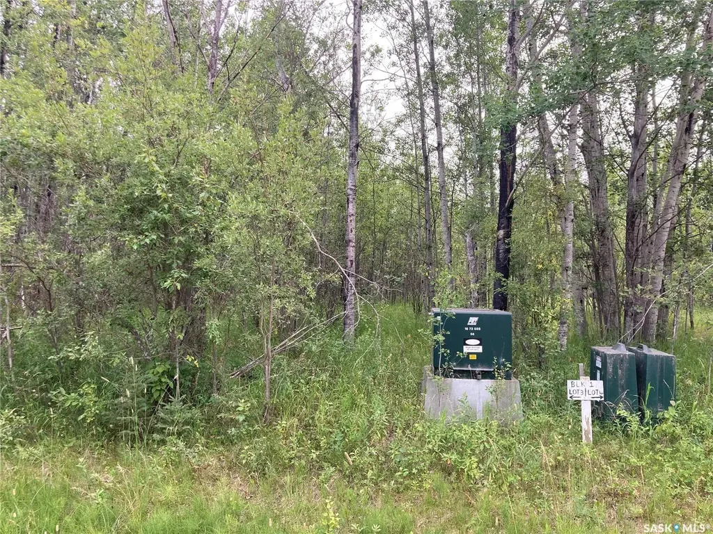 Rural Address Big River Rm No. 555 SK S0J 0E0