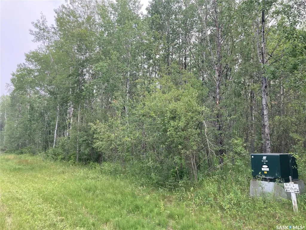 Rural Address Big River Rm No. 555 SK S0J 0E0