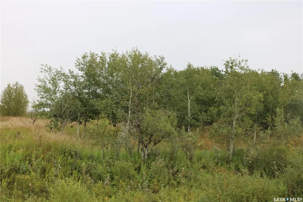 Rural Address Martin Rm No. 122 SK S0G 3N0