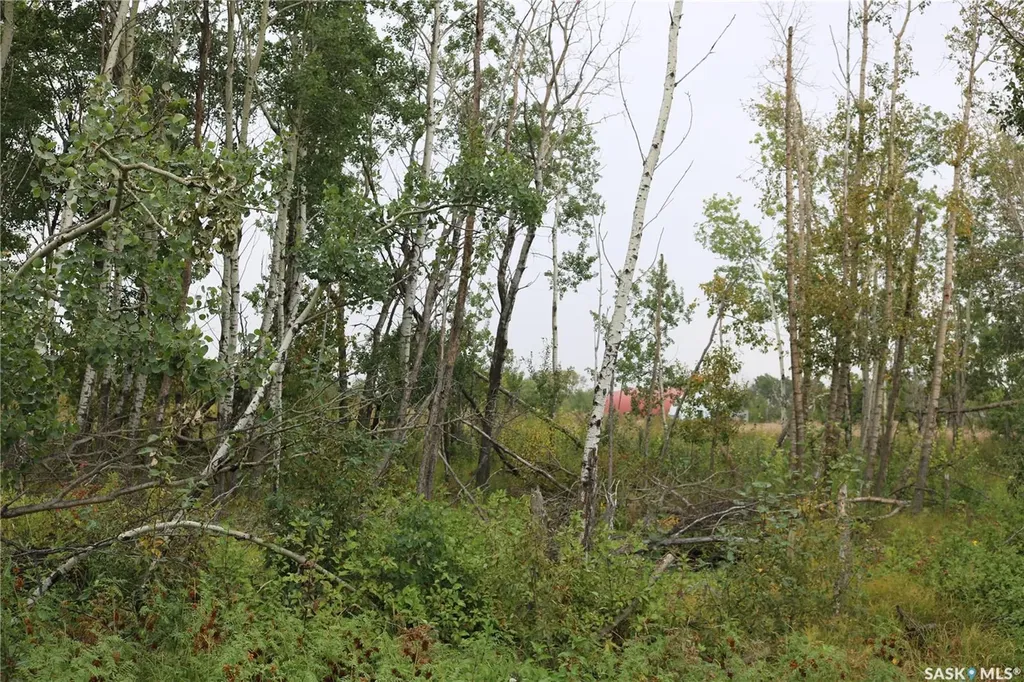 Rural Address Martin Rm No. 122 SK S0G 3N0
