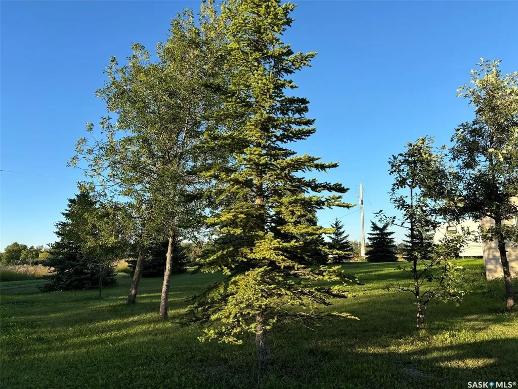 Rural Address Martin Rm No. 122 SK S0G 3N0